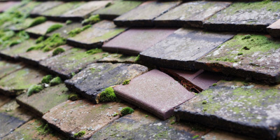 Falmouth roof repair costs